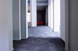 Carpets and floor coverings